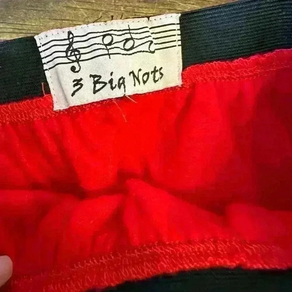 Red Felt 50's Poodle Skirt Outfit Costume‎ for Halloween - Picture 5 of 9